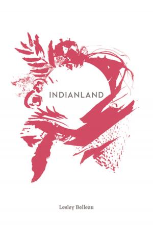 bigCover of the book Indianland by 