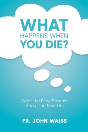 Cover of the book What Happens When You Die? by Carrie Gress