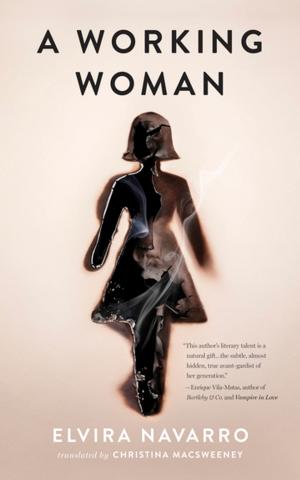 Cover of the book A Working Woman by Santiago Roncagliolo