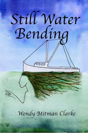 Book cover of Still Water Bending