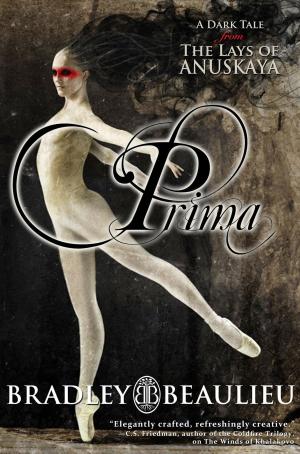 Cover of the book Prima by Rachel O'Laughlin