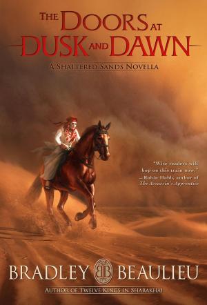 Cover of the book The Doors at Dusk and Dawn by Bernice Fischer