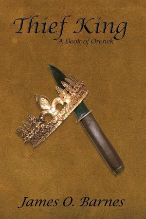 Book cover of Thief King
