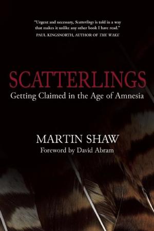 Cover of the book Scatterlings by Bridget Blomfield