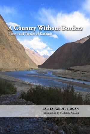 Cover of the book A Country Without Borders by Tony Medina