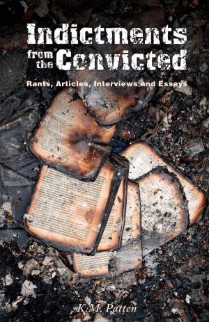 Cover of the book Indictments from the Convicted by Jack Perry