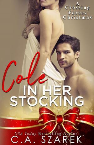 Book cover of Cole in Her Stocking