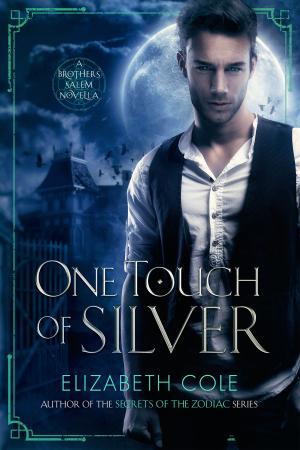Cover of the book One Touch of Silver by JR Parz