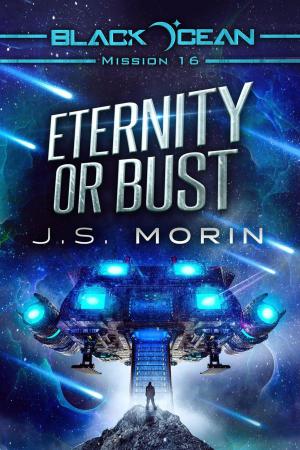 Cover of the book Eternity or Bust by J.S. Morin