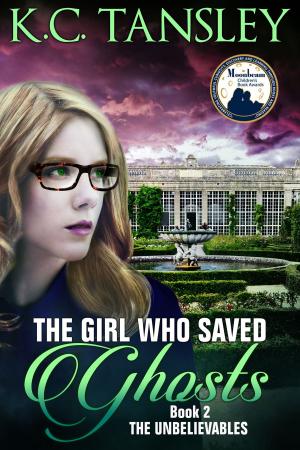 Cover of the book The Girl Who Saved Ghosts by Jennifer Fisch-Ferguson