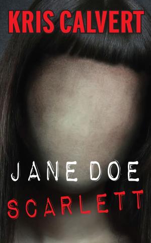 Cover of the book Jane Doe by H.B. Lyne