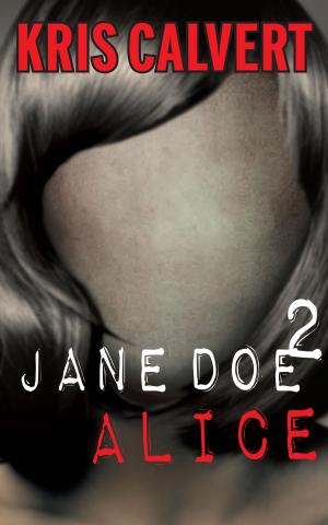 Cover of the book Jane Doe 2 by B. Hesse Pflingger