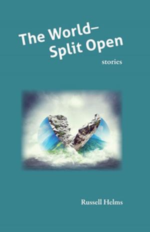 bigCover of the book The World Split Open by 