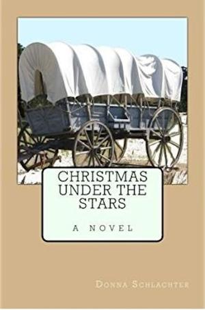 Cover of the book Christmas Under the Stars by Donna Schlachter