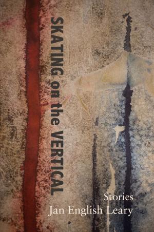 Cover of the book Skating on the vertical by Roger Lebovitz