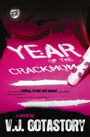 Cover of the book Year of The Crackmom by Reign