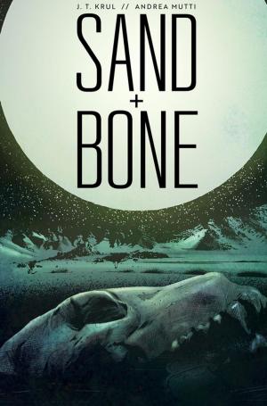 Cover of the book Sand + Bone by Trish Cook