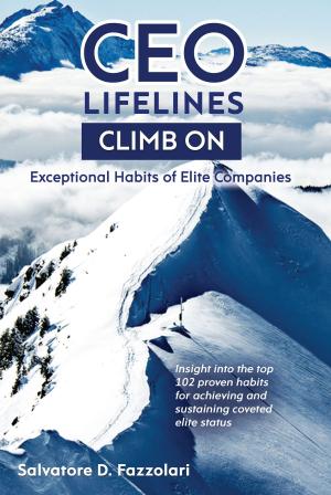 Cover of the book CEO Lifelines by Lauren Speeth