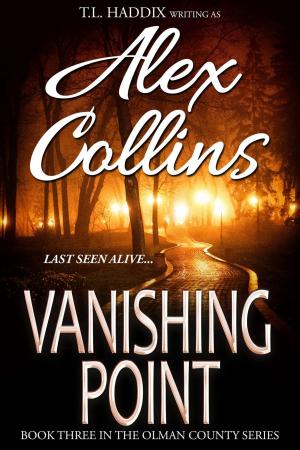 Cover of the book Vanishing Point by Mandy Harbin