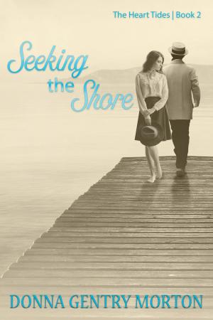 Cover of the book Seeking the Shore by C.W. Saari