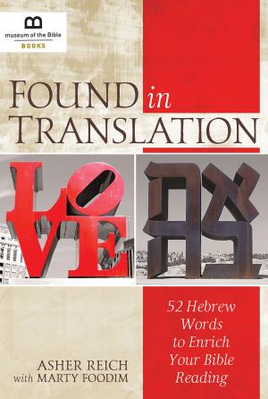 Cover of the book Found in Translation by Rachel Larkin