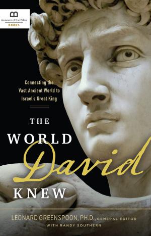 Cover of the book The World David Knew by Liz Ditty
