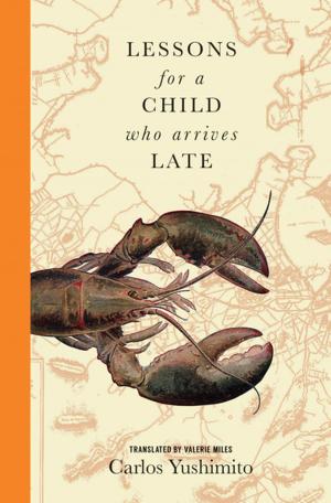 Cover of the book Lessons for a Child Who Arrives Late by Lynn Michell