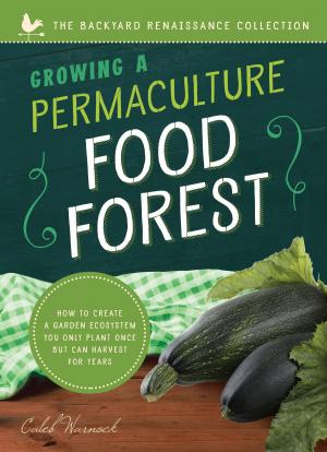 Cover of the book Growing a Permaculture Food Forest by Bil Lepp