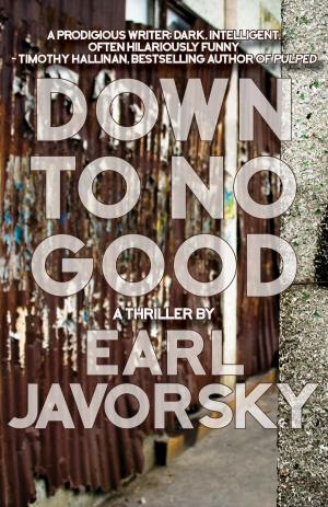 Cover of the book Down to No Good by Laurel Dewey