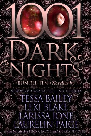 Book cover of 1001 Dark Nights: Bundle Ten