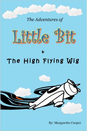 Cover of the book The Adventures of Little Bit and the High Flying Wig by Andrew Vaillencourt