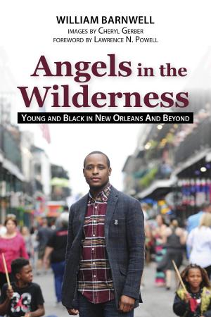 Cover of the book Angels in the Wilderness by Virginia Ripple