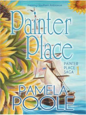 Book cover of Painter Place