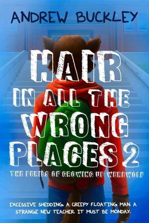 Book cover of Hair in All the Wrong Places 2