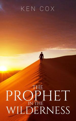 Cover of the book The Prophet In The Wilderness by Kimberly Moses, Kimberly Hargraves