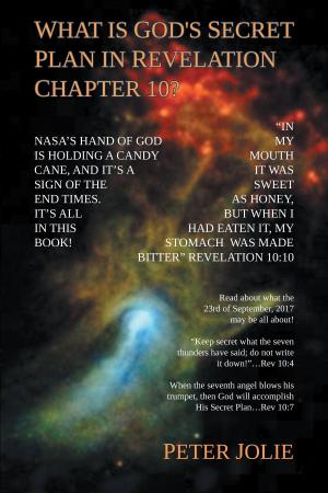 Book cover of What is God's Secret Plan in Revelation Chapter 10?