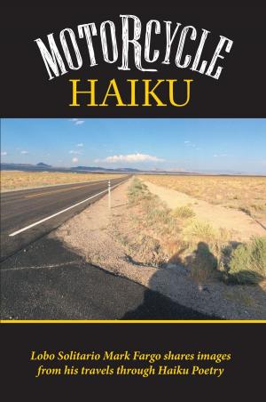 Book cover of Motorcycle Haiku