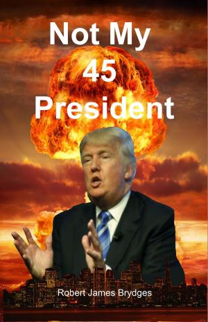 Cover of the book Not My 45 President by Apollo