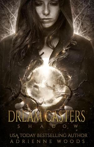 Cover of the book Dream Casters: Shadow by Andrew Mowere