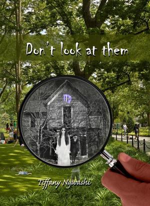 Cover of the book Don't Look at Them by H.C. Harrington