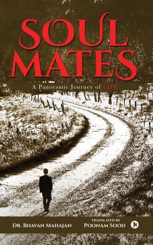 Cover of the book Soulmates by Tod Davies