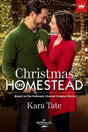 Cover of the book Christmas In Homestead by Laura Shinn