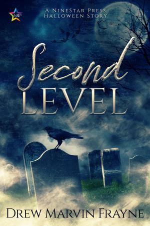 Cover of the book Second Level by Keelan Ellis