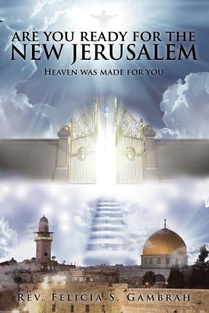 Cover of the book Are You Ready For the New Jerusalem by Susan Quilleash