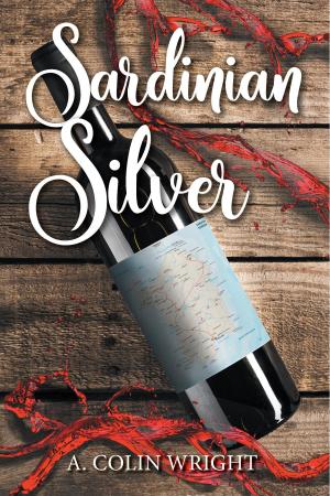 Book cover of Sardinian Silver