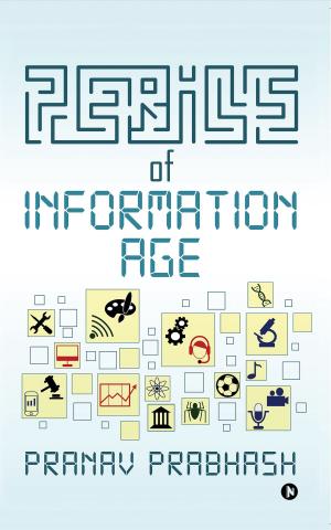 Cover of the book Perils of Information Age by Ashutosh Tiwari