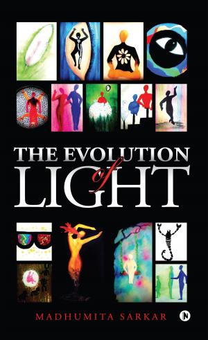 Cover of the book The Evolution of Light by MJ