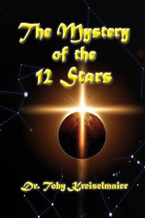 bigCover of the book The Mystery of the 12 Stars by 