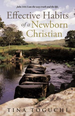 Cover of Effective Habits of a Newborn Christian
