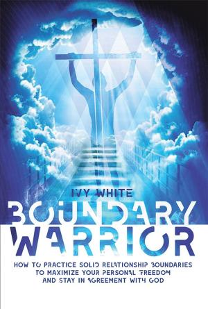 Cover of the book Boundary Warrior by Deborah Lovett